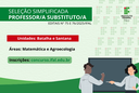 PROFESSOR SUBSTITUTO site (2).png