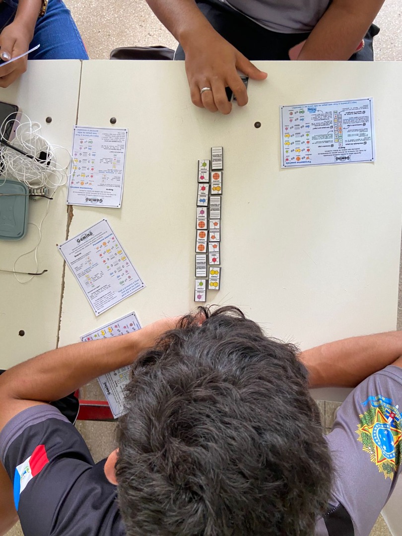 Dominó desenvolvido em projeto trabalha conceitos básicos da genética molecular.jpeg