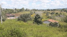 Comunidade Quilombola Izabel do Sítio Lagoa da Pedra, em Bom Conselho-PE