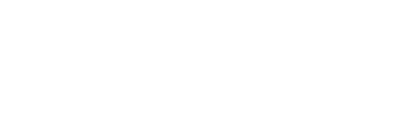 Horizontal 2 negativa.png
