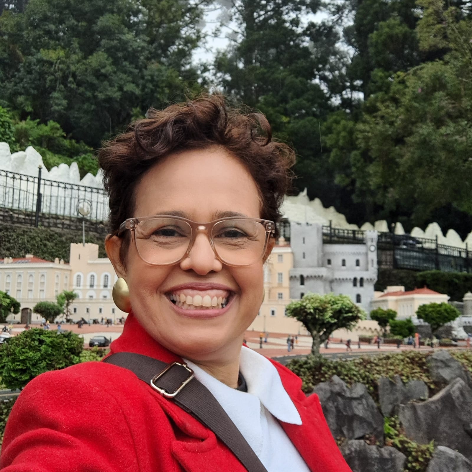 Professora mestre, Arlene Leão